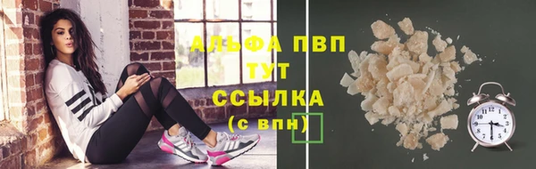 индика Гусь-Хрустальный