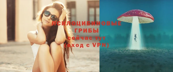 кокс Ельня