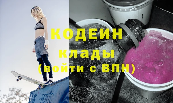 индика Гусь-Хрустальный