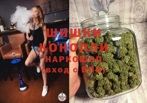 кокс Ельня