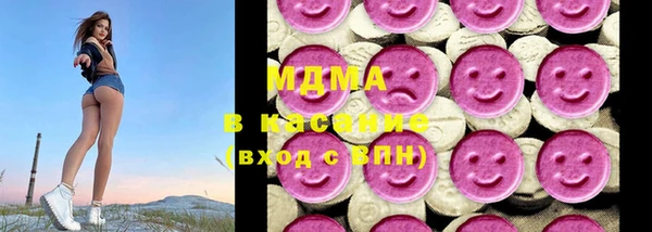 индика Гусь-Хрустальный