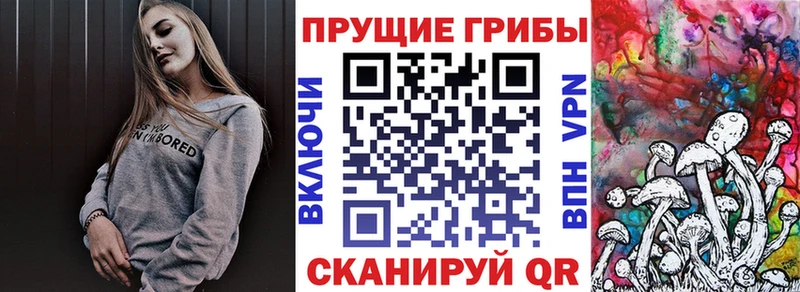 Галлюциногенные грибы GOLDEN TEACHER  Купить закладки  Мамоново 